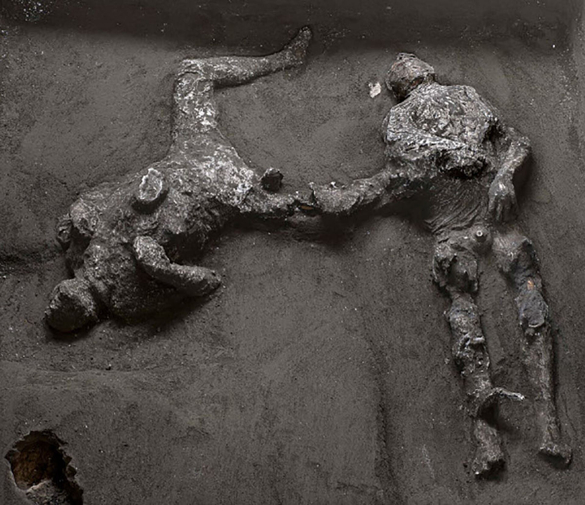 Обнаруженные скелеты людей во время раскопок в Помпеях  - Sputnik Грузия, 1920, 21.10.2021