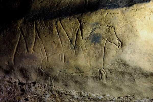 В Испании найдены настенные рисунки в пещере Фонт-Мажор - Sputnik Грузия