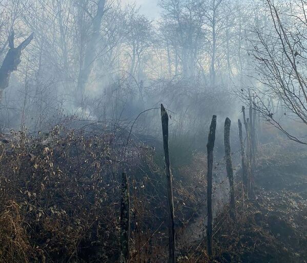 В настоящее время в Самегрело в районе Цаленджиха остаются всего три активных очага пожара - Sputnik Грузия