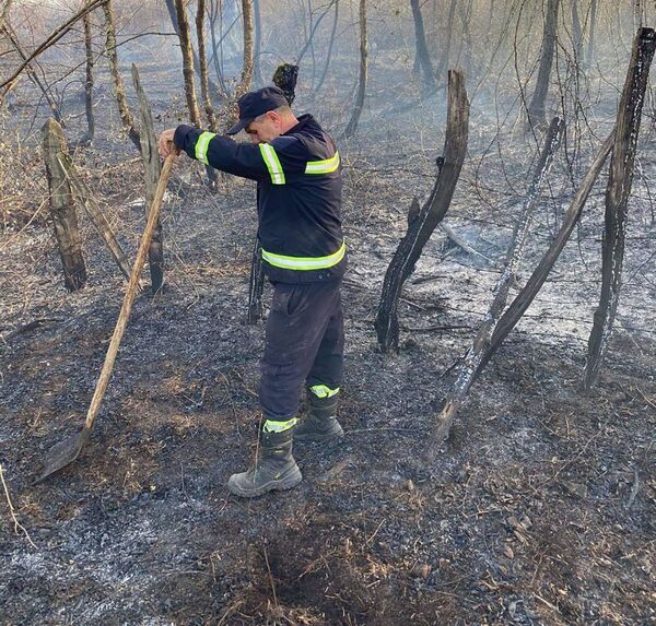 Огонь уничтожил зеленые насаждения на площади более 30 гектаров, пострадавших среди населения не было - Sputnik Грузия
