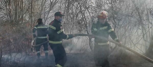 Огонь уничтожает леса в Западной Грузии: борьба с пожарами - видео с дрона Огонь уничтожает леса в Западной Грузии: борьба с пожарами - видео с дрона - Sputnik Грузия