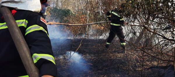ტყის ხანძრები დასავლეთ საქართველოში ტყის ხანძრები დასავლეთ საქართველოში - Sputnik საქართველო