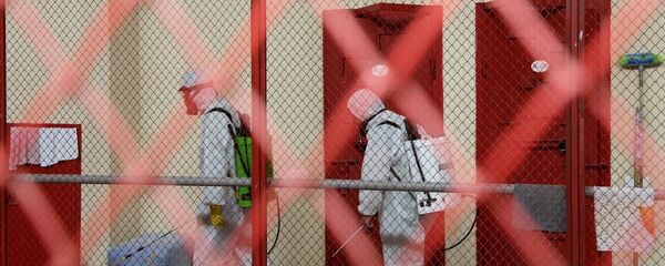 დეზინფექცია დეზინფექცია - Sputnik საქართველო