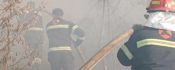 ტყის ხანძარი სამეგრელოში ტყის ხანძარი სამეგრელოში - Sputnik საქართველო