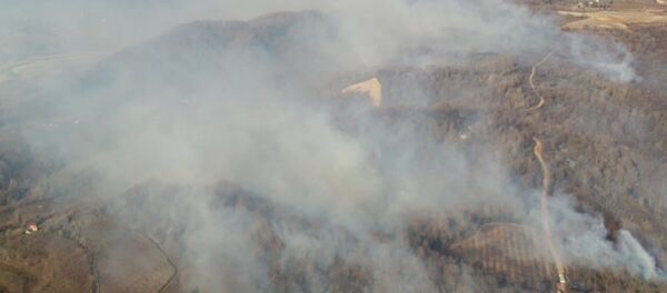 ტყის ხანძრები ტყის ხანძრები - Sputnik საქართველო