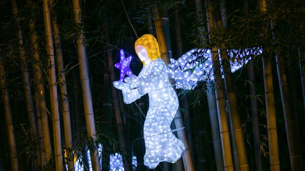 Новогодние украшения и иллюминация в Батуми. Ангел и звезда - Sputnik საქართველო