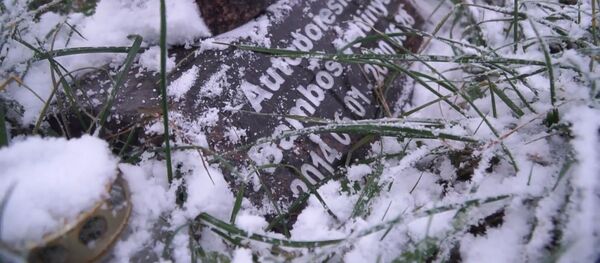 Искусство не вечно: кладбище арт-объектов в Литве - видео - Sputnik Грузия