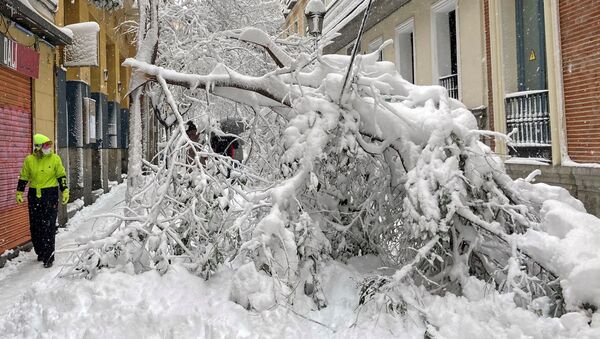 Последствия сильного снегопада в Мадриде - Sputnik Грузия