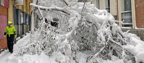 Последствия сильного снегопада в Мадриде Последствия сильного снегопада в Мадриде - Sputnik Грузия