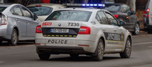 Патрульная полиция - Sputnik Грузия