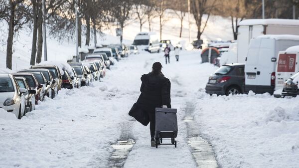 Устранение последствий снежной бури в Мадриде - Sputnik Грузия