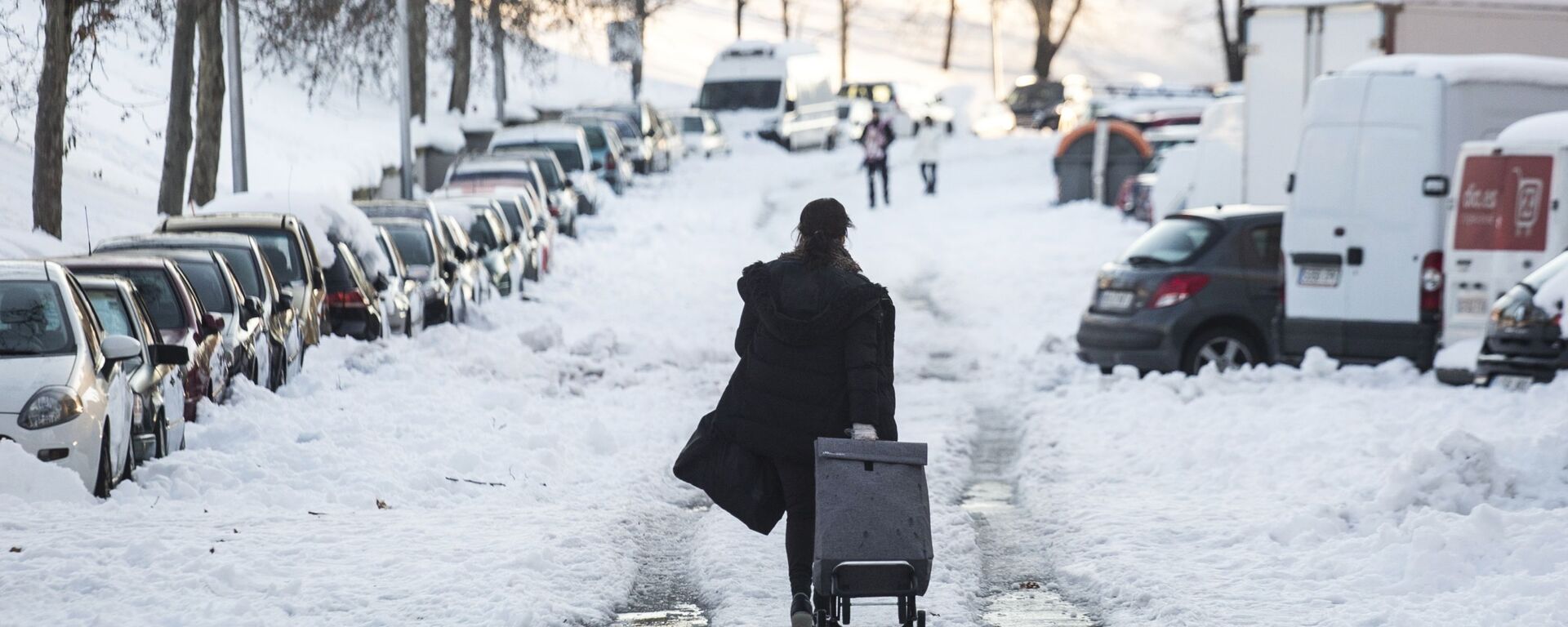 Устранение последствий снежной бури в Мадриде - Sputnik Грузия, 1920, 14.01.2021
