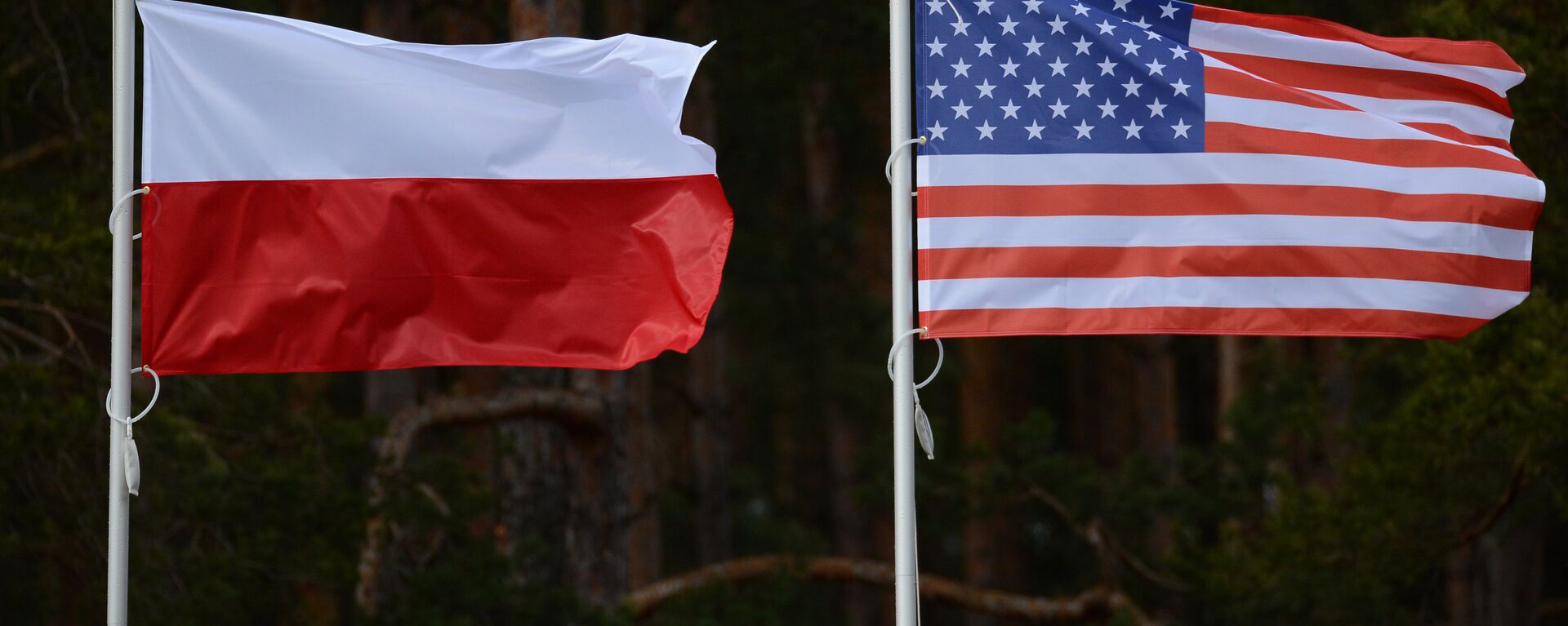 Флаги США и Польши - Sputnik Грузия, 1920, 15.01.2021