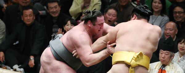 ტოჩინოშინი, ლევან გორგაძე ტოჩინოშინი, ლევან გორგაძე - Sputnik საქართველო