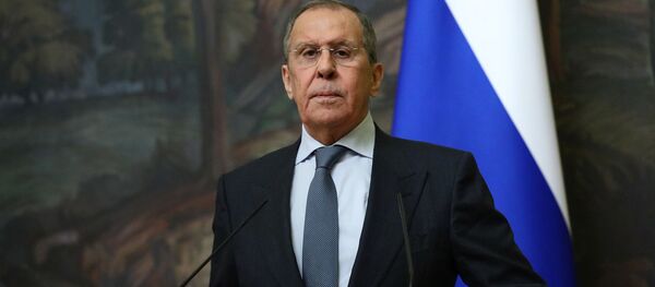 Лавров сравнил США со слоном в посудной лавке - видео - Sputnik Грузия