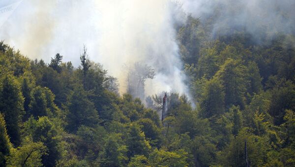 Пожар в Гирканском национальном парке Азербайджана - Sputnik Грузия