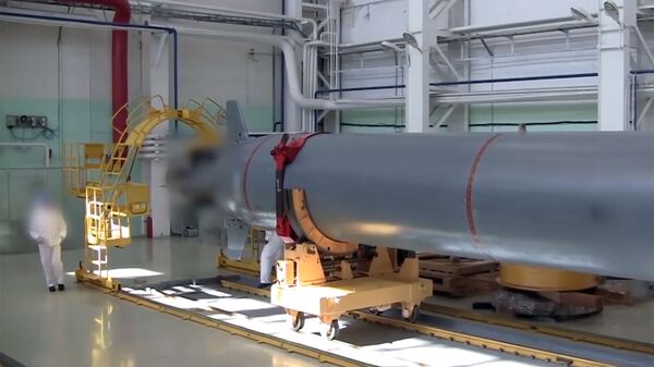 ოკეანის მრავალმიზნობრივი სისტემა „პოსეიდონი“ - Sputnik საქართველო