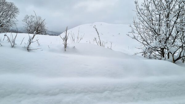 Снежная зима и снегопад - Sputnik Грузия