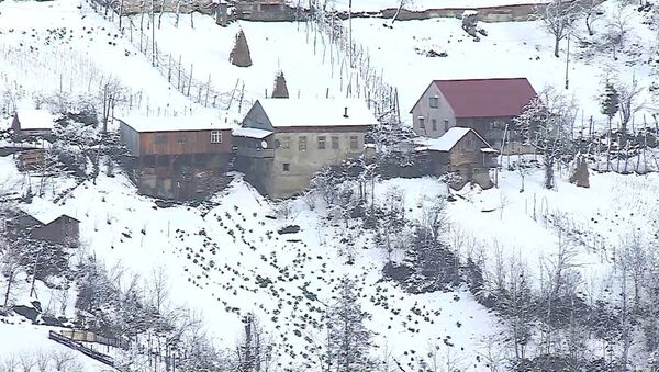 Высокогорную Аджарию засыпало снегом - видео - Sputnik Грузия