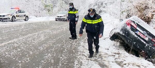 В Аджарии борются с последствиями сильного снегопада - видео - Sputnik Грузия