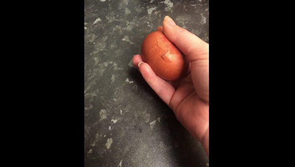 Мама разыграла дочь вылупляющимся из магазинного яйца цыпленком – забавное видео - Sputnik Грузия