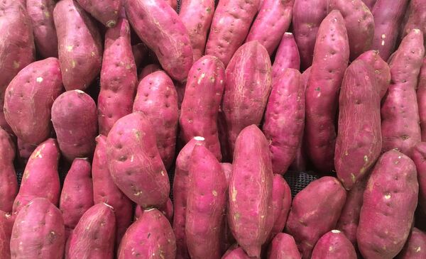 რა სასარგებლო თვისებები აქვს ბატატს და როგორ მოვამზადოთ მისგან გემრიელი სადილი რა სასარგებლო თვისებები აქვს ბატატს და როგორ მოვამზადოთ მისგან გემრიელი სადილი - Sputnik საქართველო