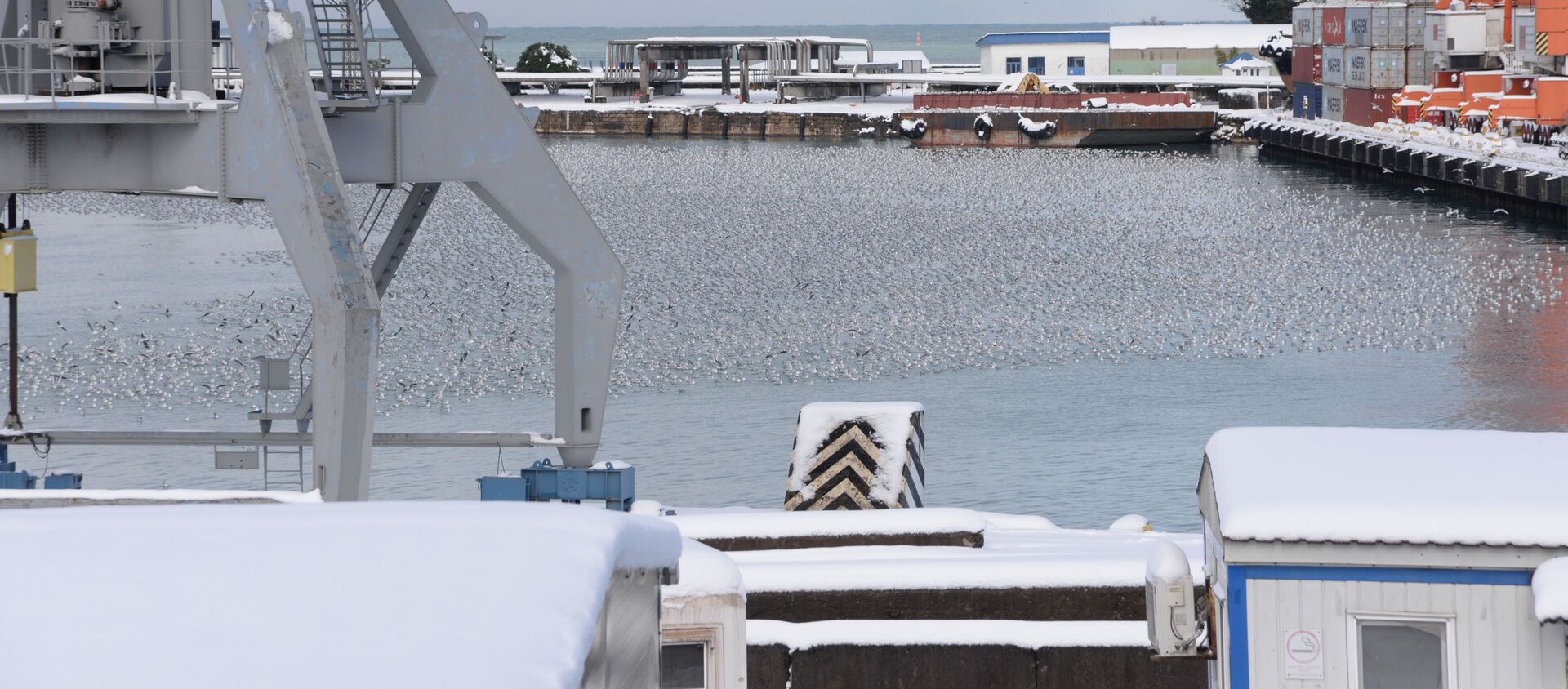 Батуми в снегу зимой - Батумский морской порт - Sputnik Грузия, 1920, 22.01.2021