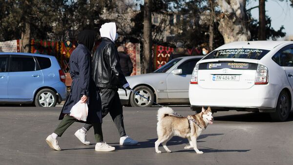 Эпидемия коронавируса - прохожие на улице в масках с собакой - Sputnik Грузия
