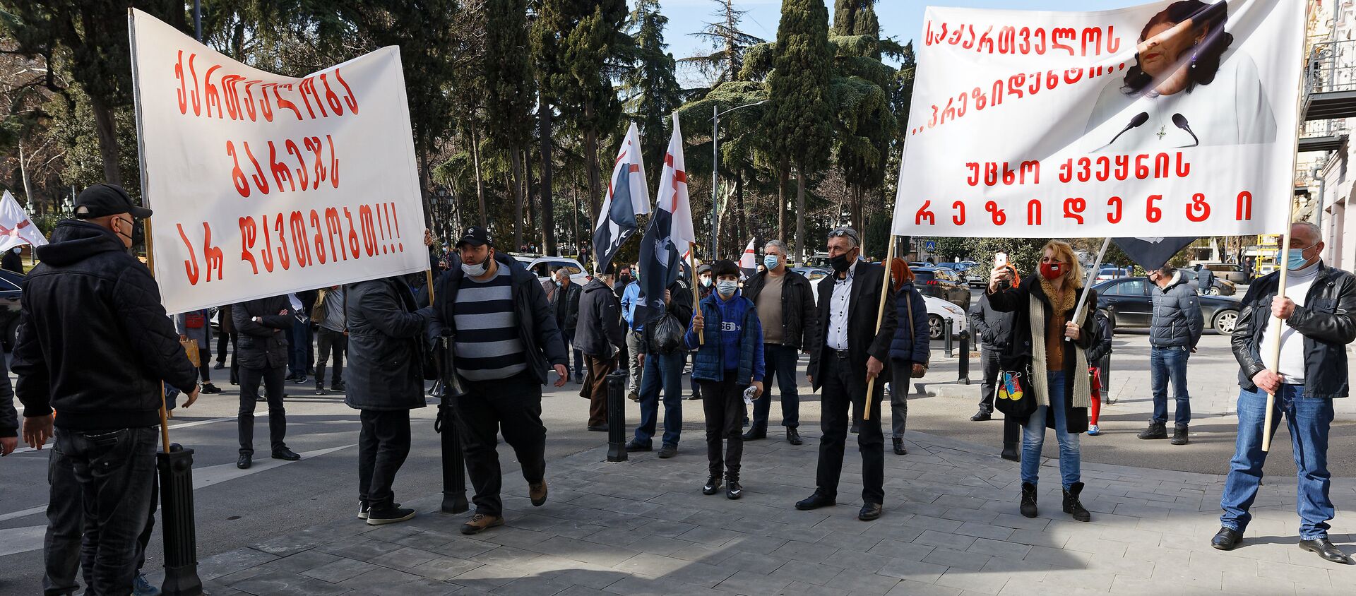 “Грузинский марш” провел акцию протеста у резиденции президента - видео - Sputnik Грузия, 1920, 03.02.2021