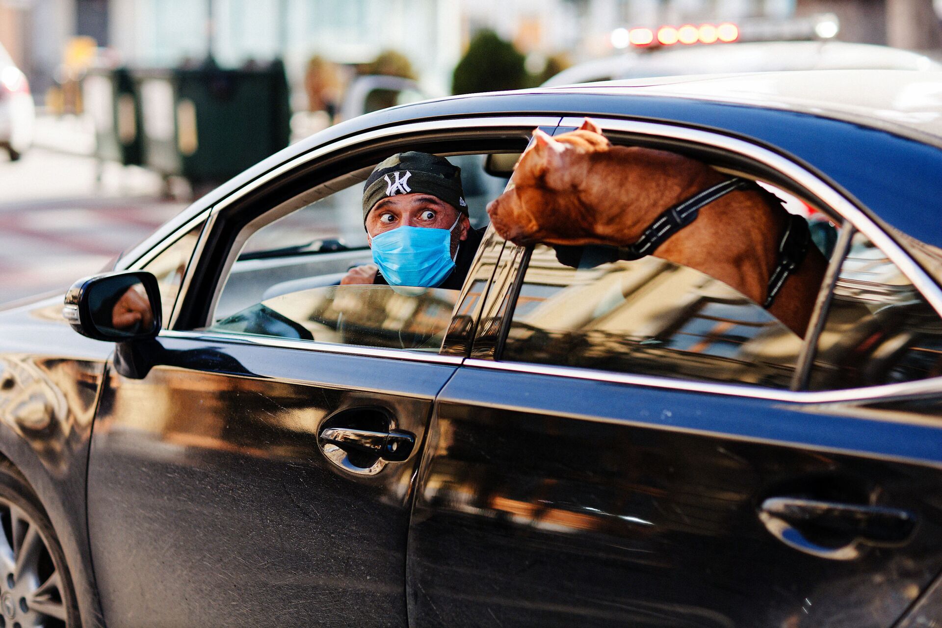 Эпидемия коронавируса - мужчина в маске с собакой в машине - Sputnik Грузия, 1920, 06.04.2023