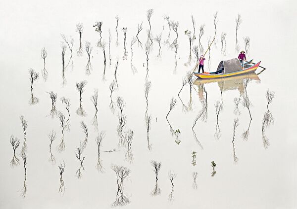 Снимок Рыбаки мангровых зарослей австралийского фотографа Леса Шарпа, победивший в категории Изобразительное искусство среди профессионалов конкурса Tokyo International Foto Awards 2020  - Sputnik Грузия
