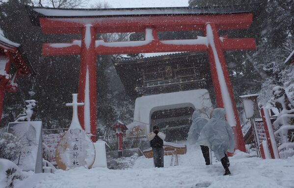 Последствия сильнейшего за 13 лет снегопада в Токио в феврале 2014 года - Sputnik Грузия