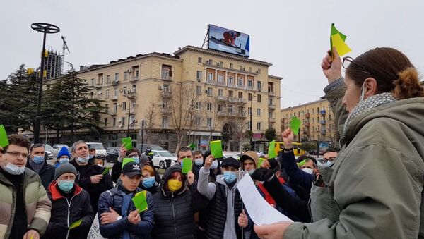 Жители столицы Грузии снова протестуют против строительства в парке Ваке - видео - Sputnik Грузия