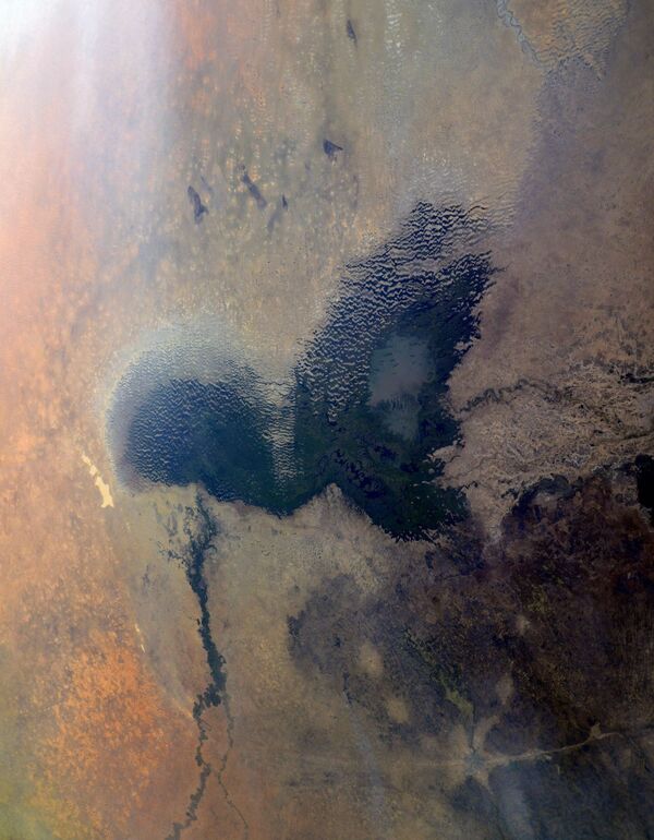 Африканское озеро Чад – уникальный природный объект. Его происхождение связано с возникновением прогиба земной коры, который и стал озерной впадиной - Sputnik Грузия
