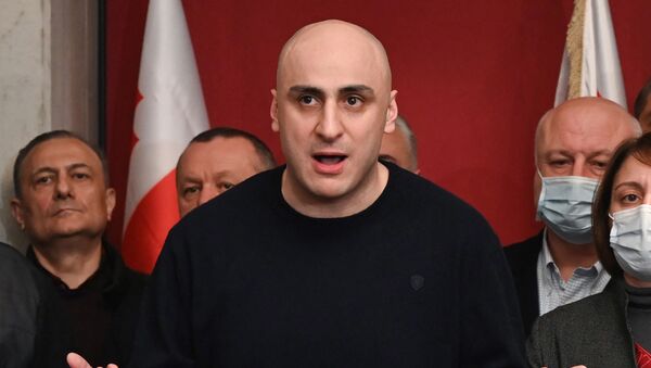 Ника Мелия и лидеры объединенной оппозиции на брифинге в офисе ЕНД - Sputnik Грузия