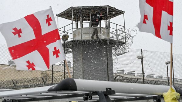 Руставская тюрьма и оппозиция с флагами - Sputnik Грузия