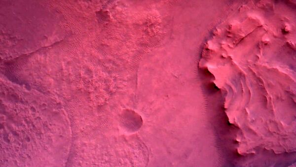 Фотографии, снятые исследовательским аппаратом NASA's Perseverance Mars Rover с помощью камеры Rover Down-Look Camera - Sputnik Грузия