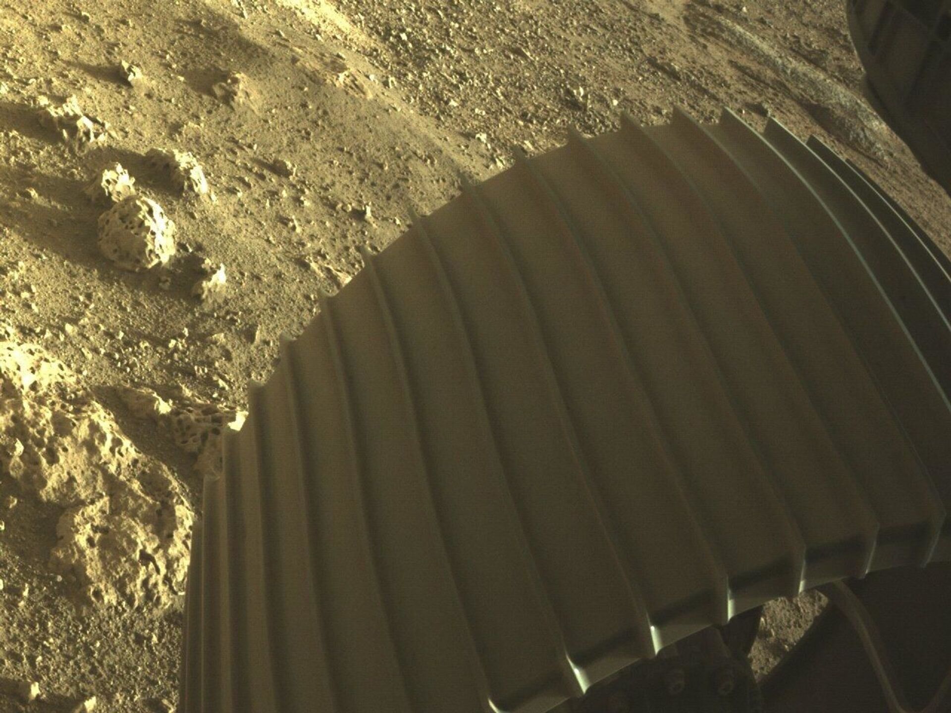 Фотографии, снятые исследовательским аппаратом NASA's Perseverance Mars Rover, который совершил посадку на Марсе в ночь на 19 февраля - Sputnik Грузия, 1920, 04.11.2021