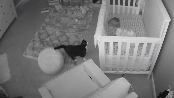 Малышу и кошке поставили в комнате видеоняню, ночные кадры с нее умилили Сеть – видео - Sputnik Грузия