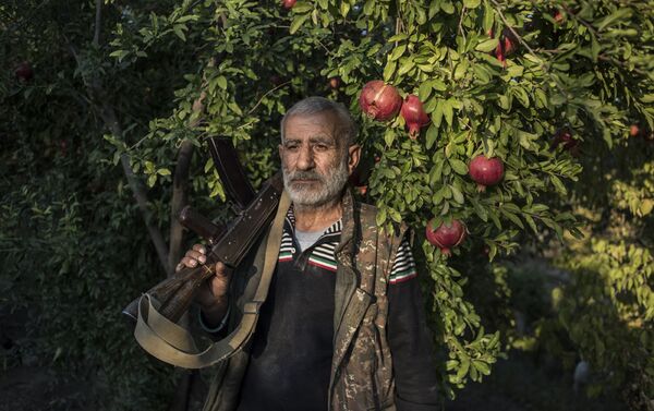 Местный житель Анушаван стоит в гранатовом саду во дворе своего дома - Sputnik Грузия