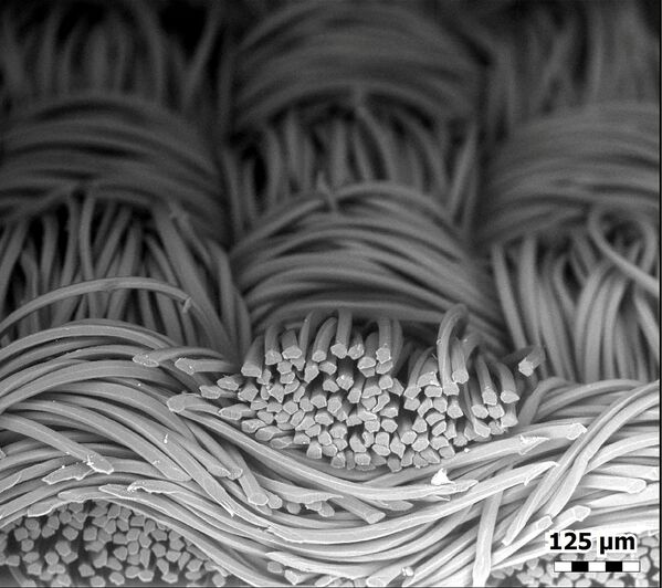 Волокна лицевой маски из полиэстера, сфотографированные с помощью сканирующего электронного микроскопа - Sputnik Грузия