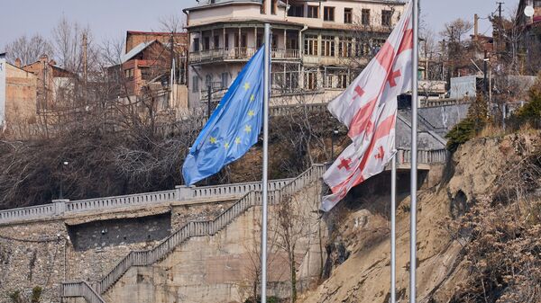 Грузия ждет от ЕС справедливого решения – председатель парламента