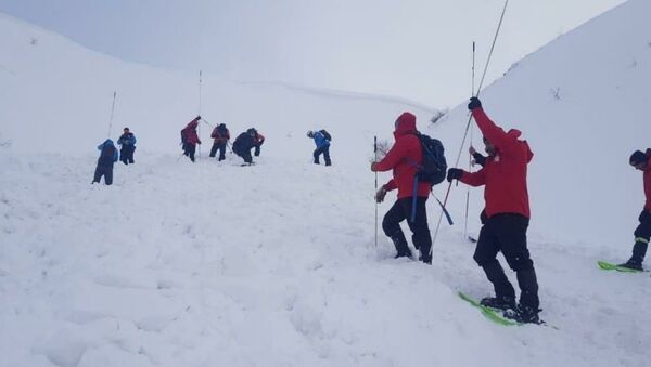 Поиск попавшего под лавину лыжника - Sputnik Грузия