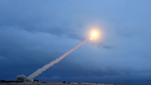 Испытания крылатой ракеты с ядерным двигателем «Буревестник» - Sputnik Грузия