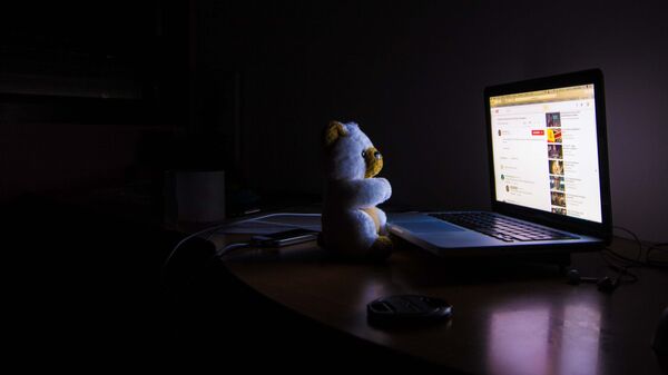 Бессоница. Игрушечный мишка перед экраном ноутбука - Sputnik საქართველო