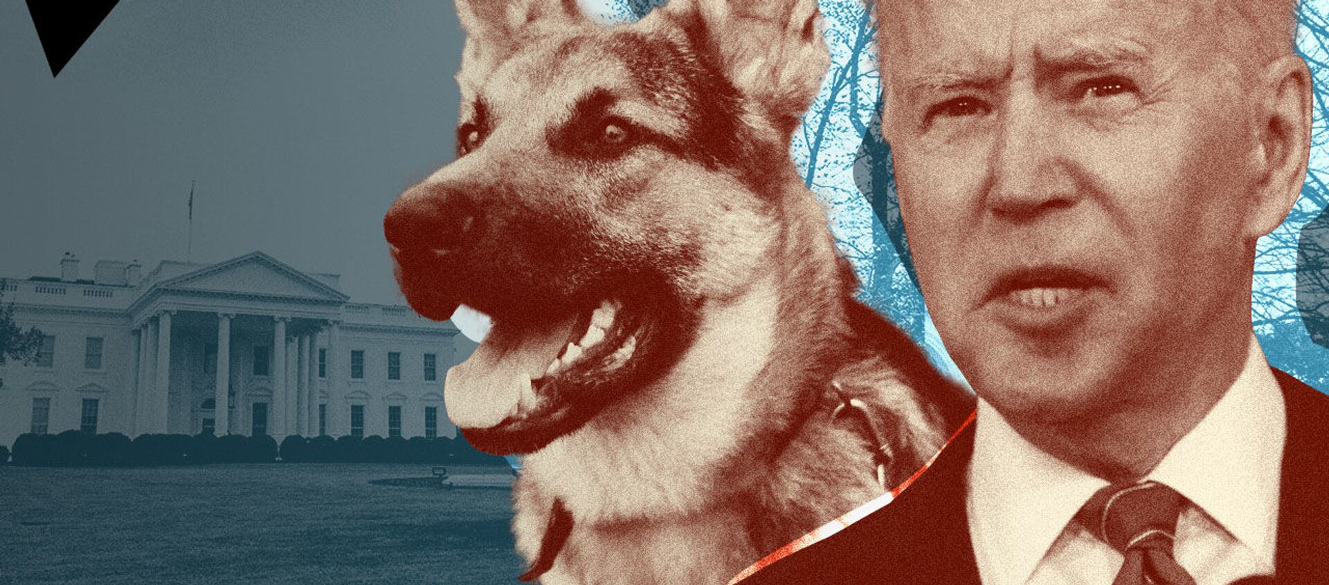 Собака Джо Байдена терроризирует сотрудников Белого дома - видео - Sputnik Грузия, 1920, 06.04.2021
