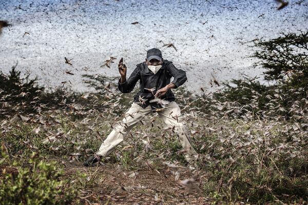 Снимок из серии Вторжение саранчи в Восточной Африке испанского фотографа Луиса Тато, победителя в категории Дикая природа и природа фотоконкурса Sony World Photography Awards 2021 года. - Sputnik Грузия