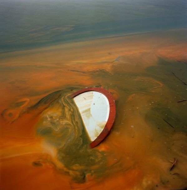 ბრიტანელი ლაურა პანაკის ფოტო სერიიდან „პორტფოლიო“, რომელმაც გაიმარჯვა კატეგორიაში „პროფესიონალური პორტფოლიო“ - Sputnik საქართველო