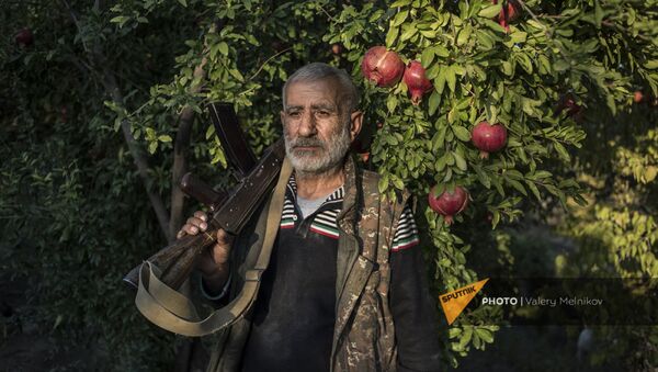 Житель поселка Ухтасар у гранатового дерева (14 октября 2020). Карабах - Sputnik Грузия