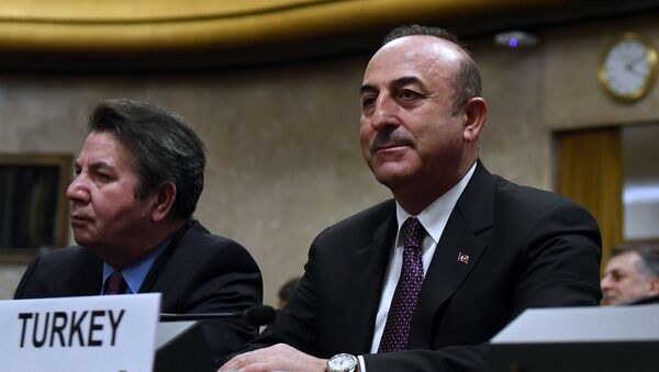Министр иностранных дел Турции Мевлют Чавушоглу  - Sputnik Грузия